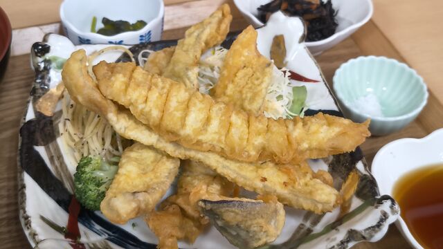IMG_20260914_112703346.jpg